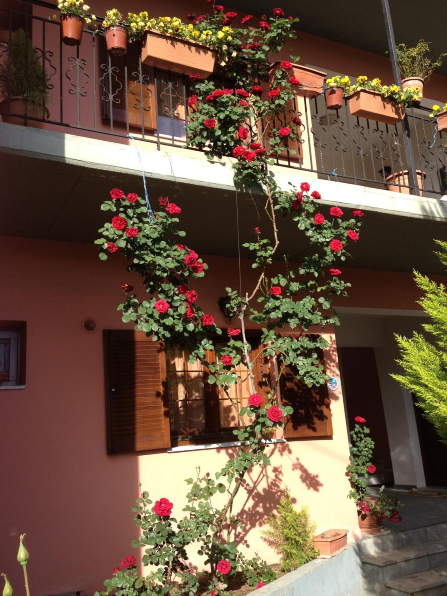Artemis Apartments Konitsa Exterior foto