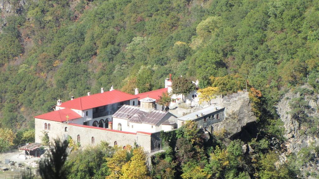 Artemis Apartments Konitsa Exterior foto